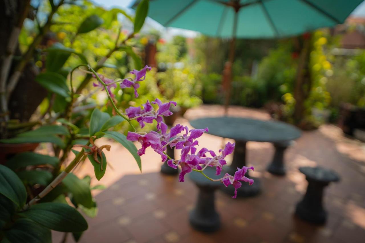 Strawberry Garden Homestay Hội An Extérieur photo